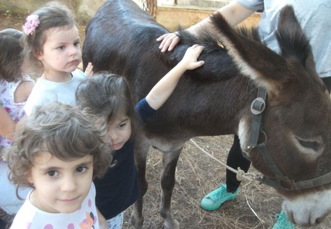 Ο γάιδαρος πάει σχολείο