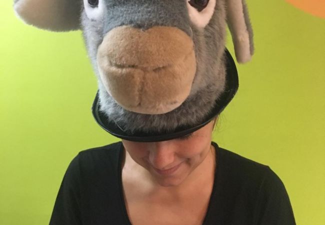 Ο γάιδαρος έχει γενέθλια