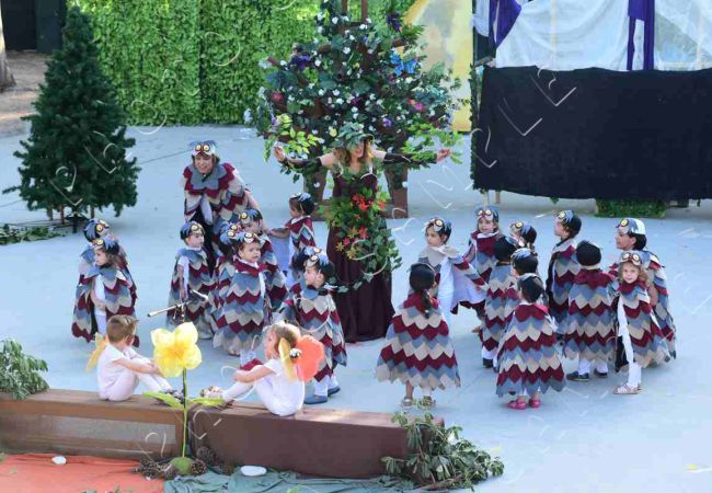 Παραμύθια στο δάσος νεραϊδογεννημένα