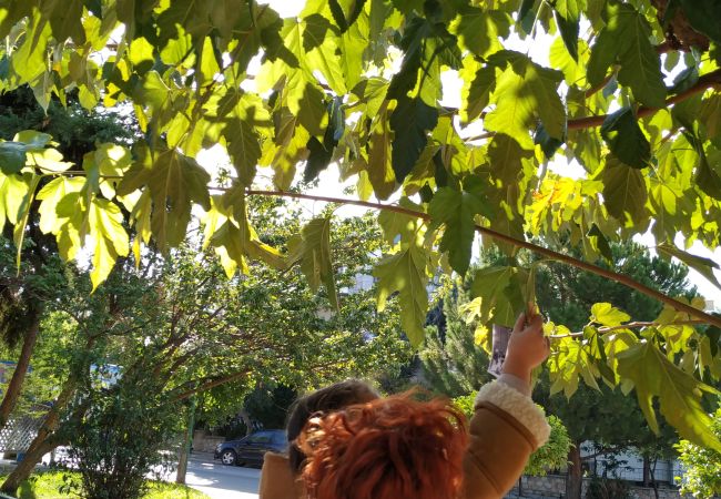 Το κορίτσι που τραγουδάει