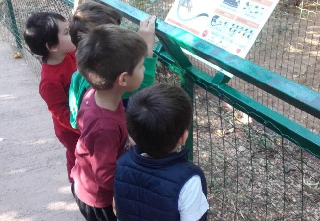 Ο γάιδαρος έχει γενέθλια