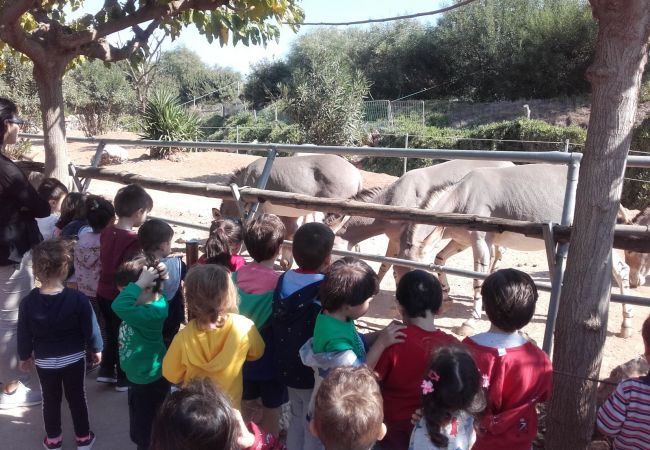 Ο γάιδαρος έχει γενέθλια