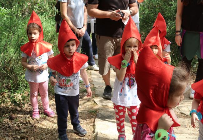 Δάσος Καισαριανής