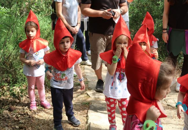 Δάσος Καισαριανής